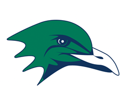 Gull No EC