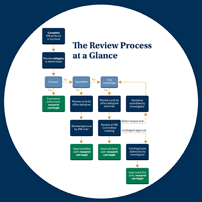 IRB-WebGraphics 10