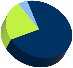 Pie chart of undergraduate demographics