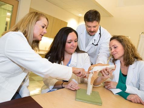 Nursing PHD program