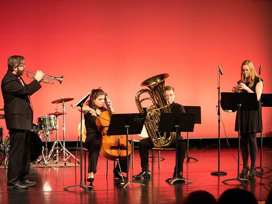 Endicott Chamber Performance
