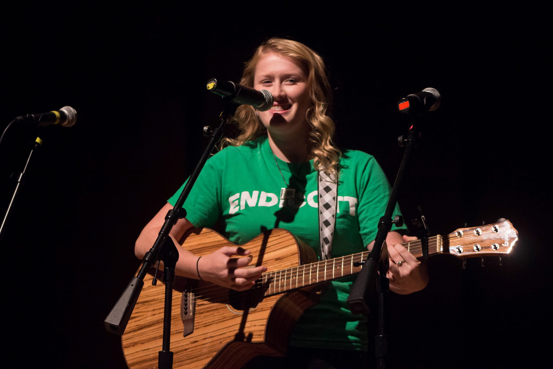 Endicott Family Fair Guitar