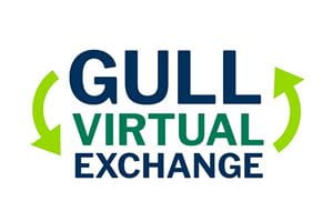 Gull Virtual Exchange logo