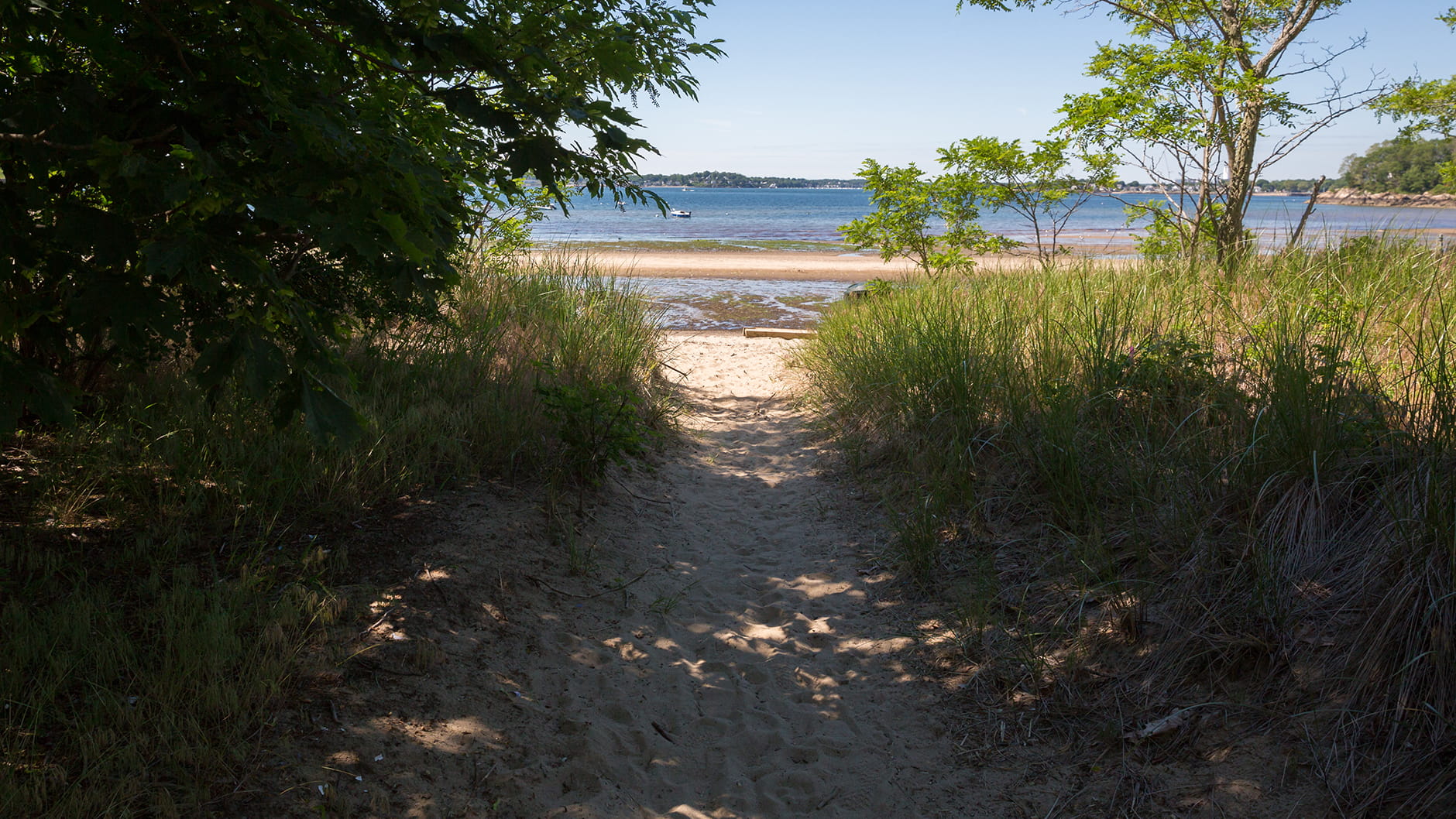 Pathway to the beach