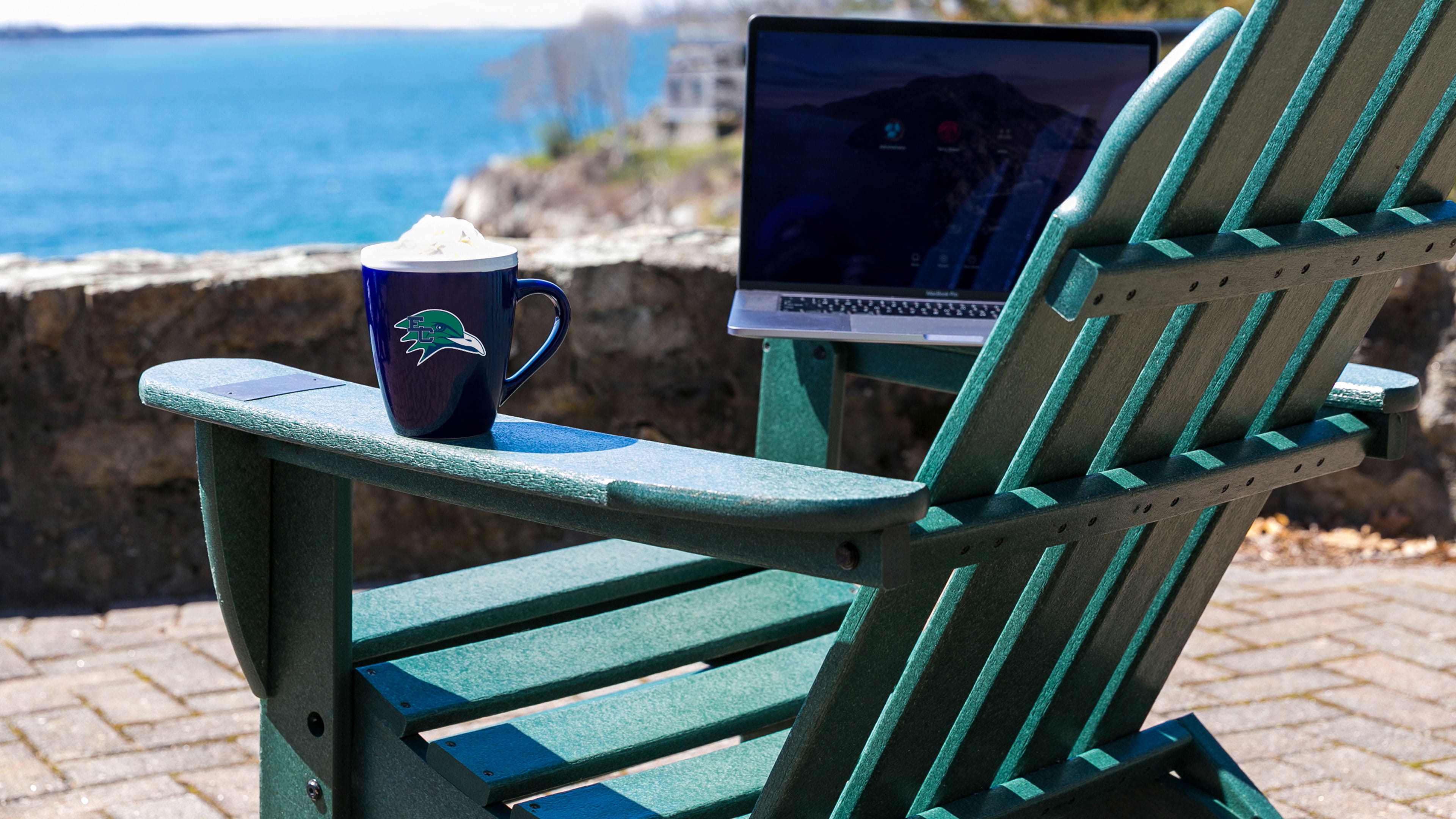 Leadership council's tips for online learning