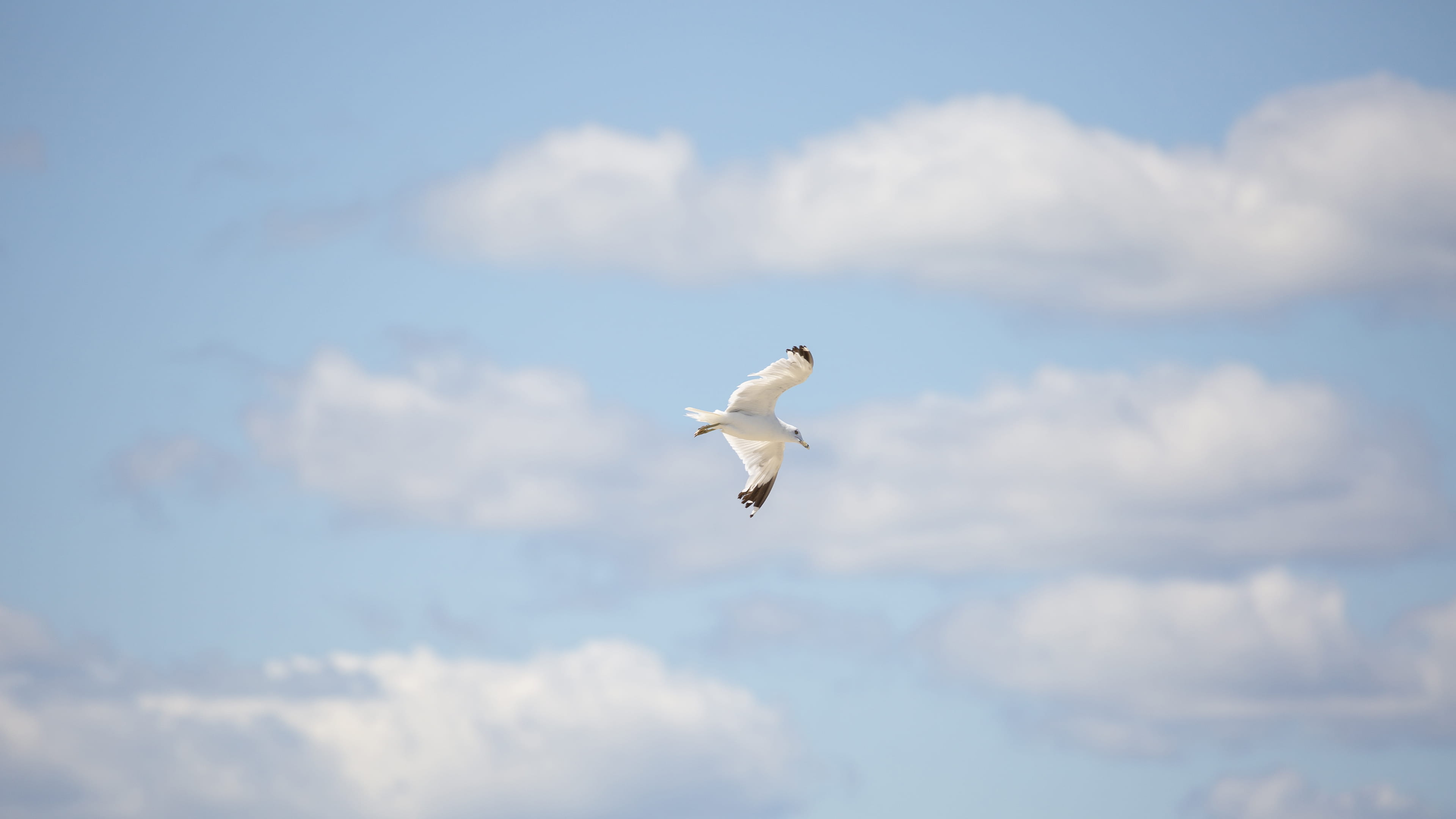 How to choose a college