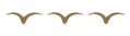 Seagull graphic