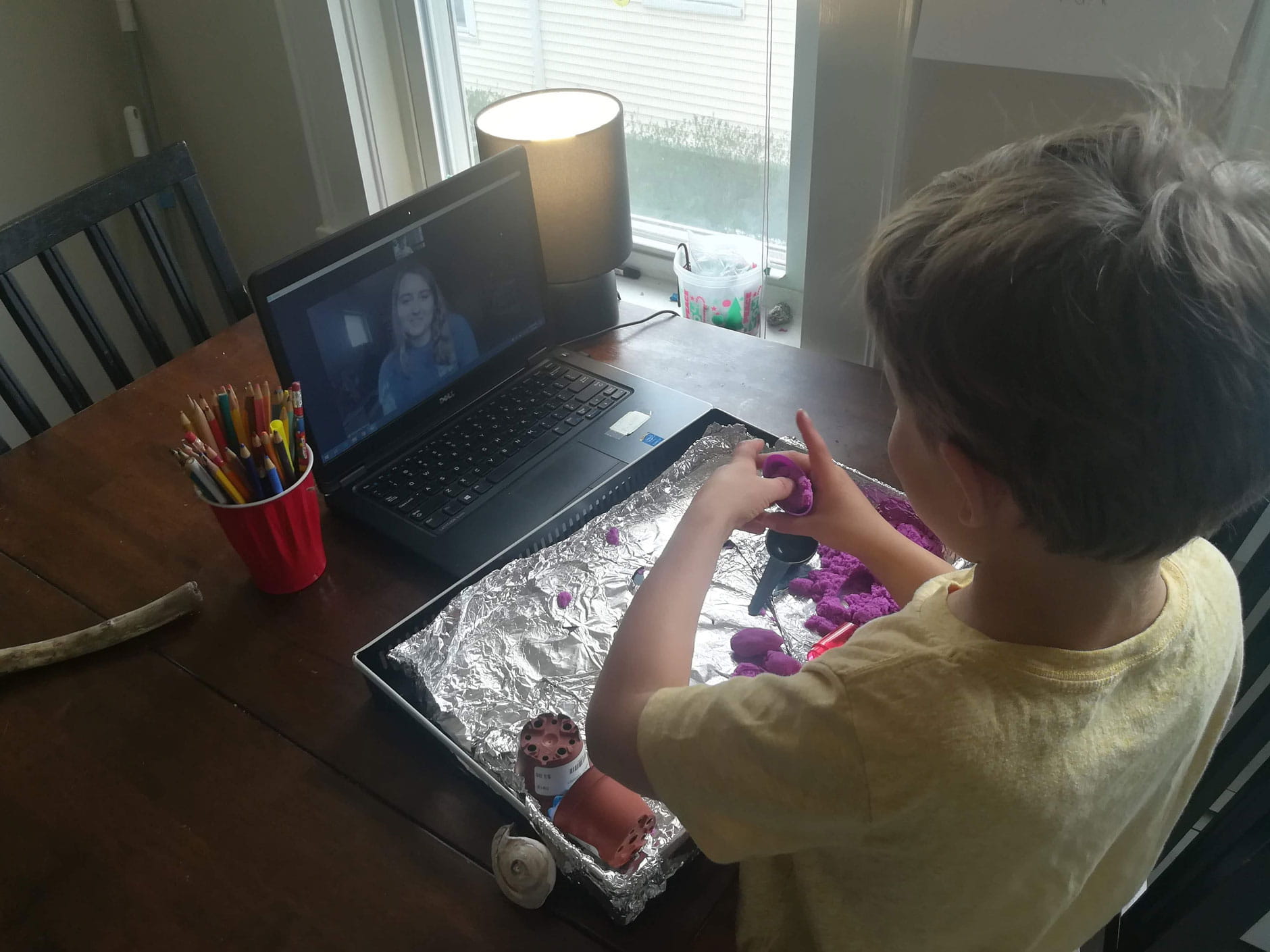 Endicott College student teacher initiative during COVID-19