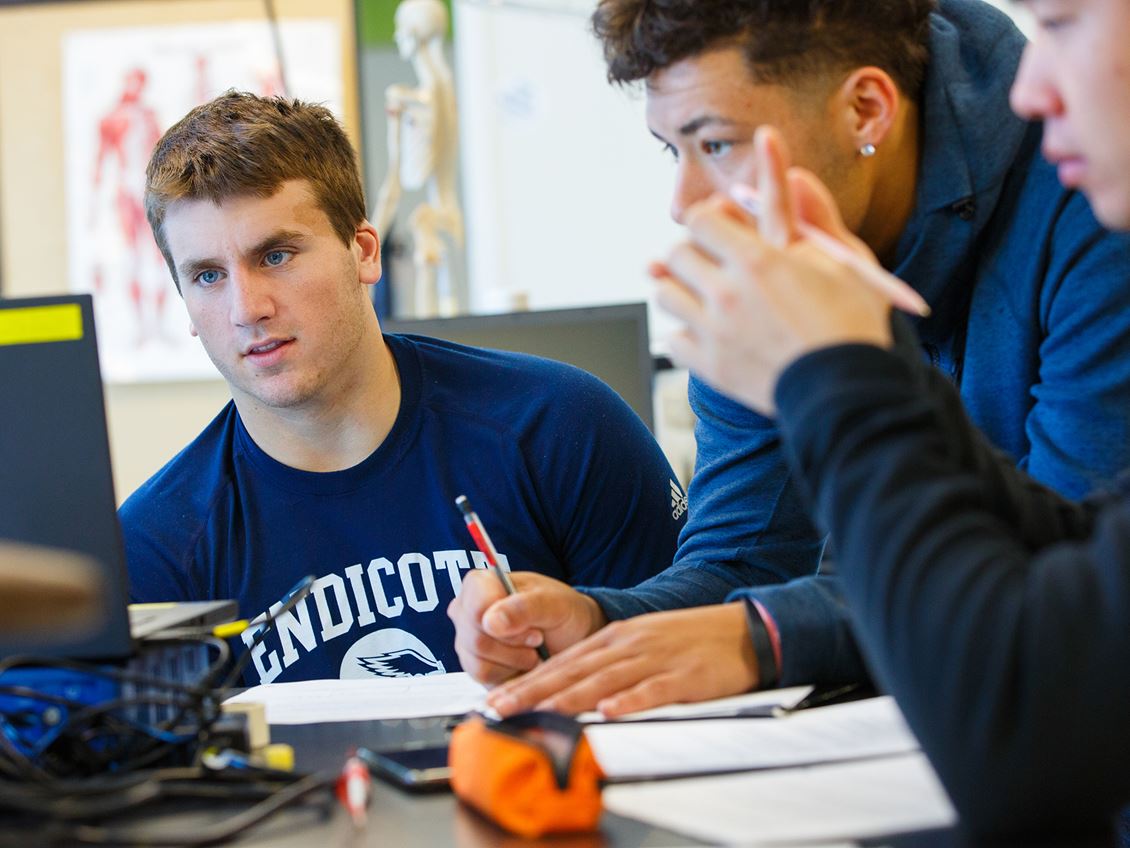 Students studying
