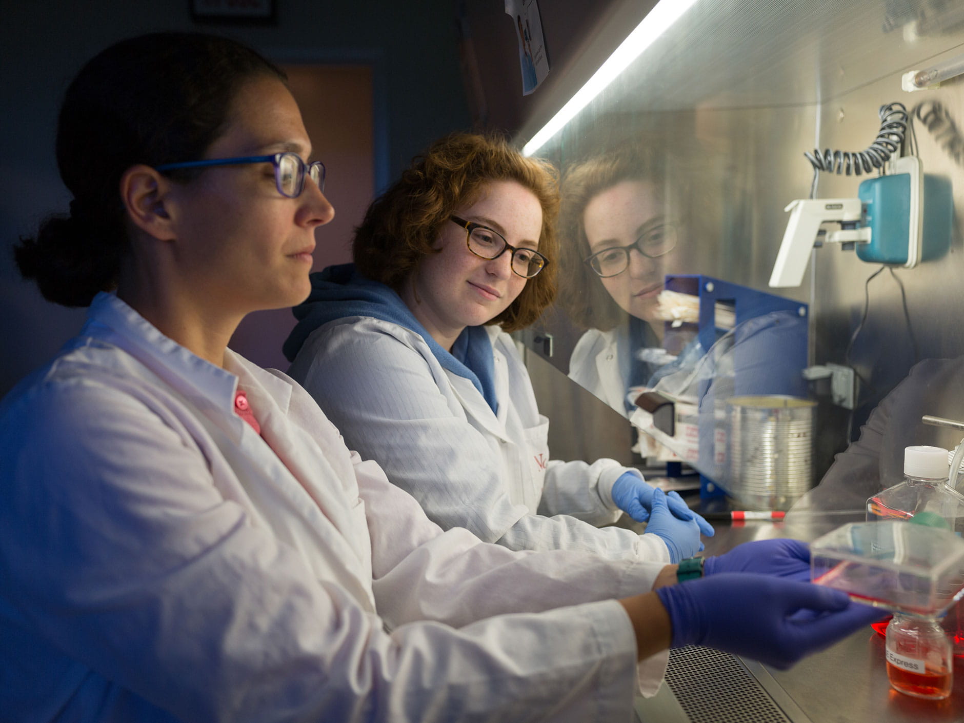 Endicott College has been awarded $405,000 by the Massachusetts Life Sciences Center to support new and expanded STEM curricula.