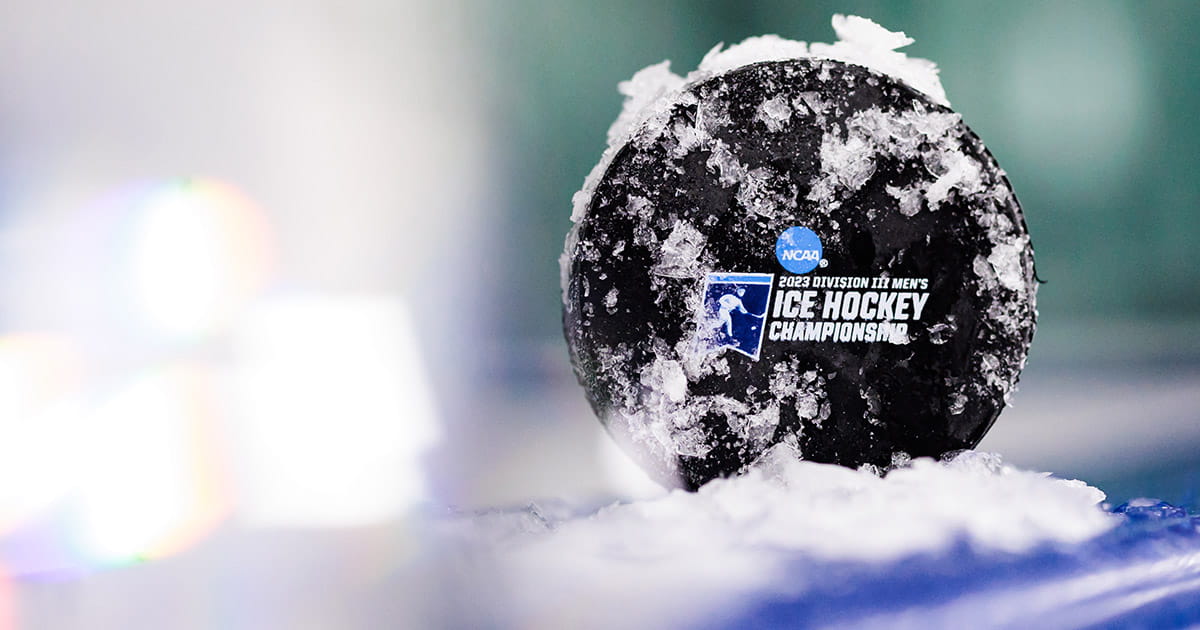 Hockey puck