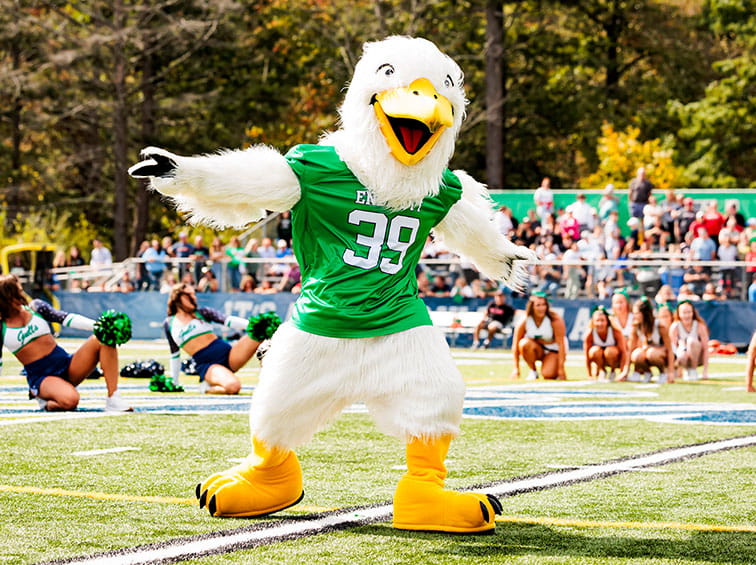 Endicott’s Mascot—Gully