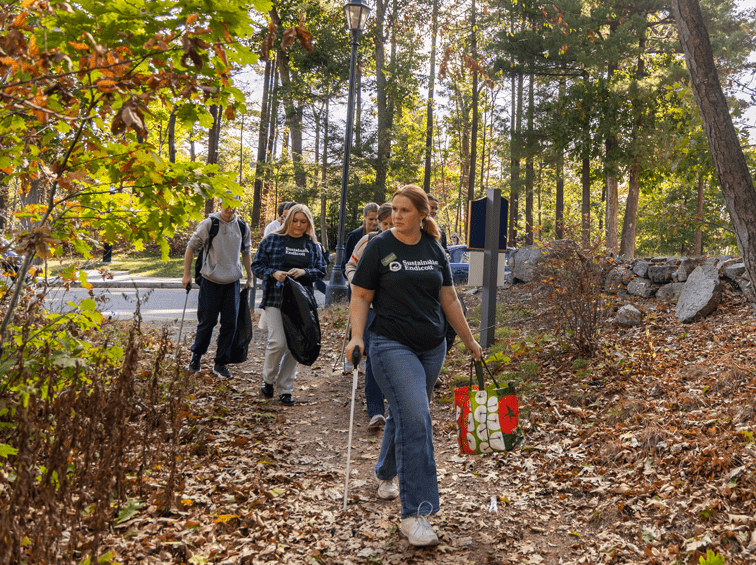 Students walking in the woods