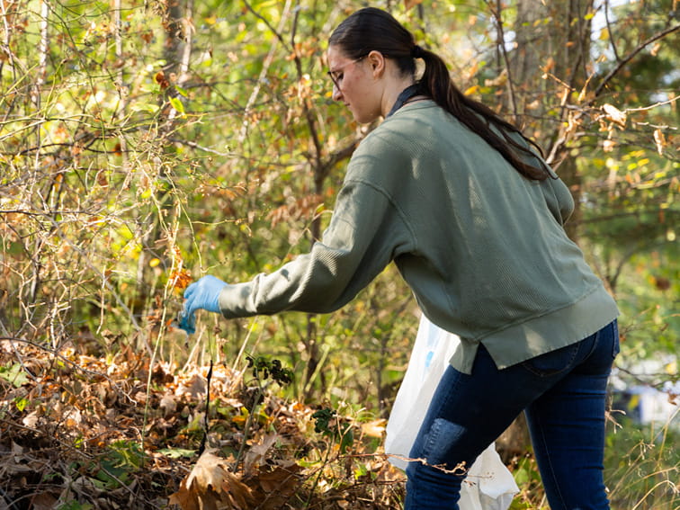 Student cleaning up the woods