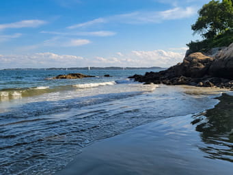 The beach