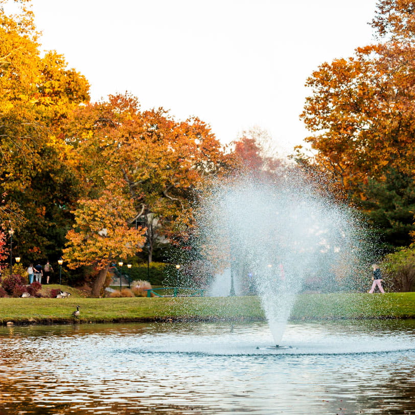 Endicott College