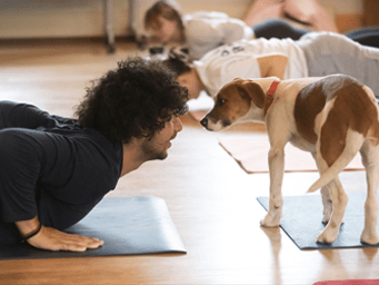 Yoga with a puppy