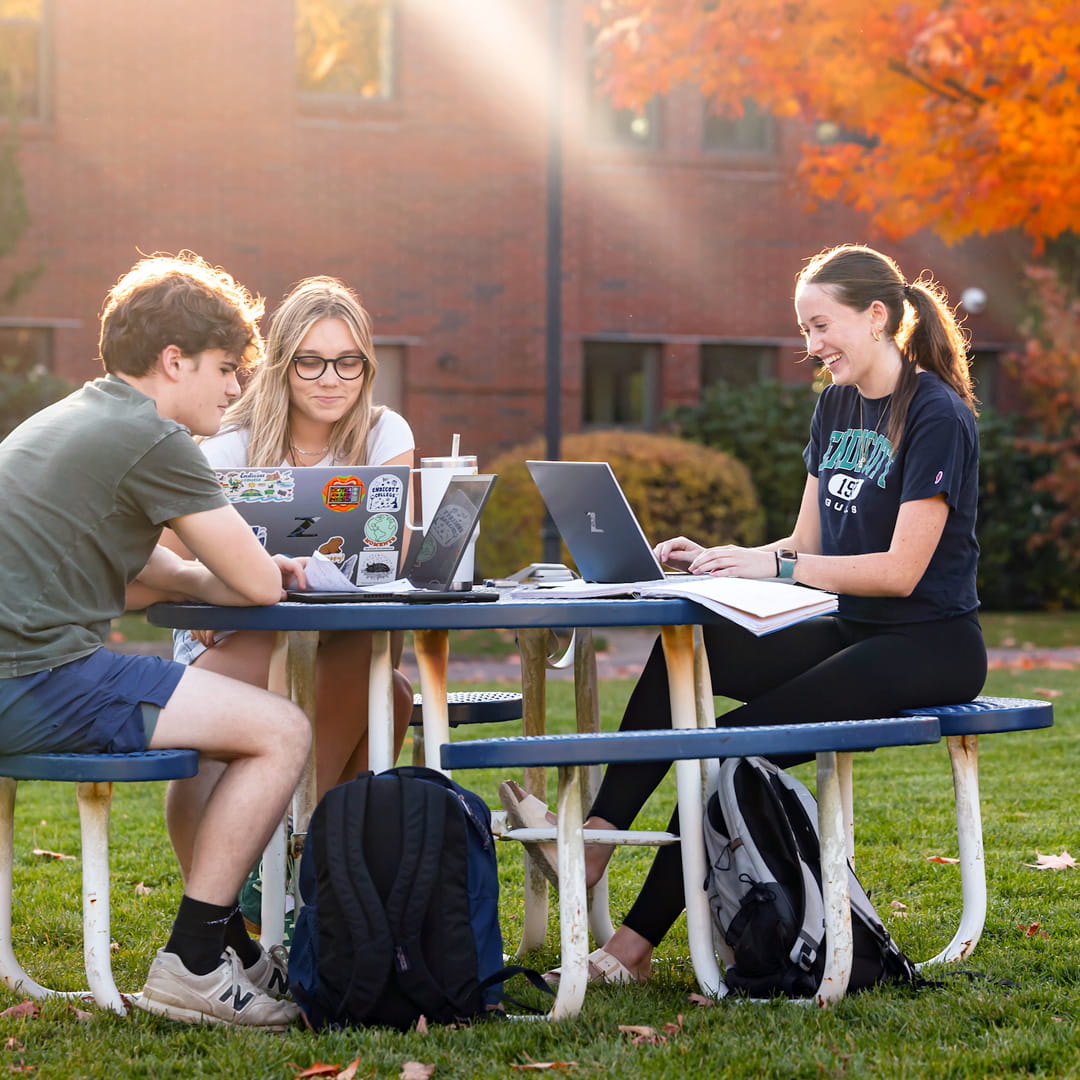 Students working on laptops