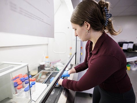 A female student with her hair in a claw clip working with samples inside a laboratory biosafety hood.