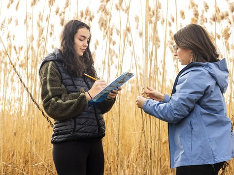 Two women conducting field research in tall grass, with one taking notes on a clipboard and the other measuring a stalk.